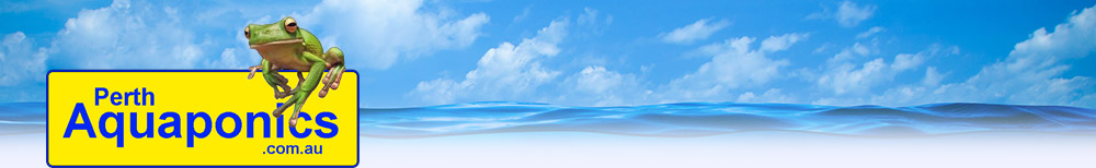 Perth Aquaponics